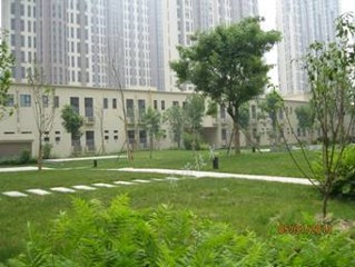 地下车库漏水上面是种植屋面